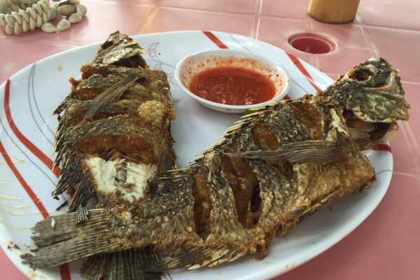 Ethiopie, que mange t'on vraiment ?-2-3