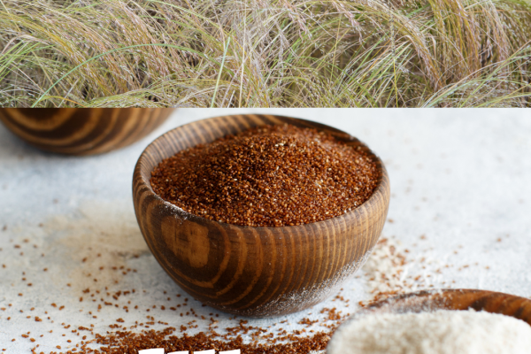 Ethiopie, que mange t'on vraiment ?-2-2