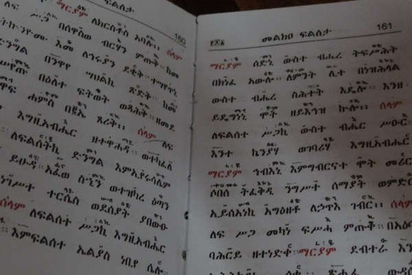 L'église de Wukro Chirkos-2-3