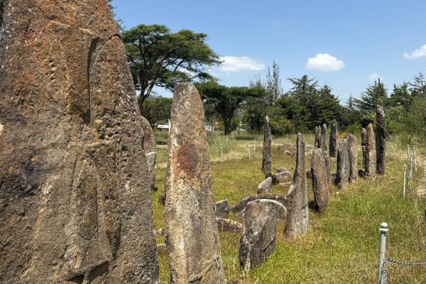 Tiya, Gedeo et les forêts de pierres oubliées-2-2
