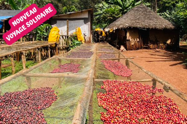 Café d'Ethiopie, voyage solidaire en immersion