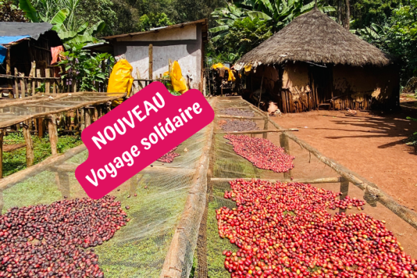 Café d'Ethiopie, voyage solidaire en immersion