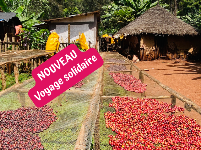 Café d'Ethiopie, voyage solidaire en immersion