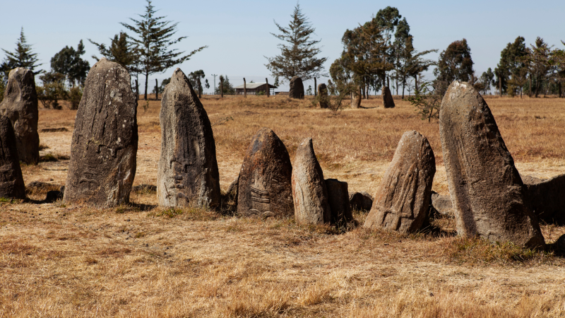 Tiya, Gedeo et les forêts de pierres oubliées
