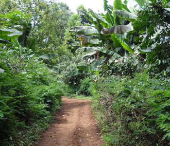 Café d'Ethiopie, voyage solidaire en immersion-1