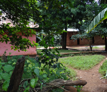 Café d'Ethiopie, voyage solidaire en immersion-3