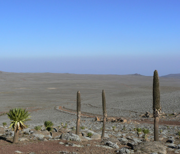 MTB mountain bike in the Bale Mountains-3