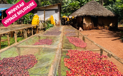 Café d'Ethiopie, voyage solidaire en immersion