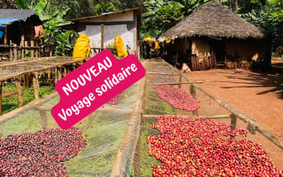 Café d'Ethiopie, voyage solidaire en immersion