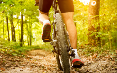 MTB mountain bike in the Bale Mountains