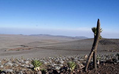Trekking en Ethiopie dans les montagnes du Bale