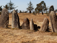 Tiya, Gedeo et les forêts de pierres oubliées