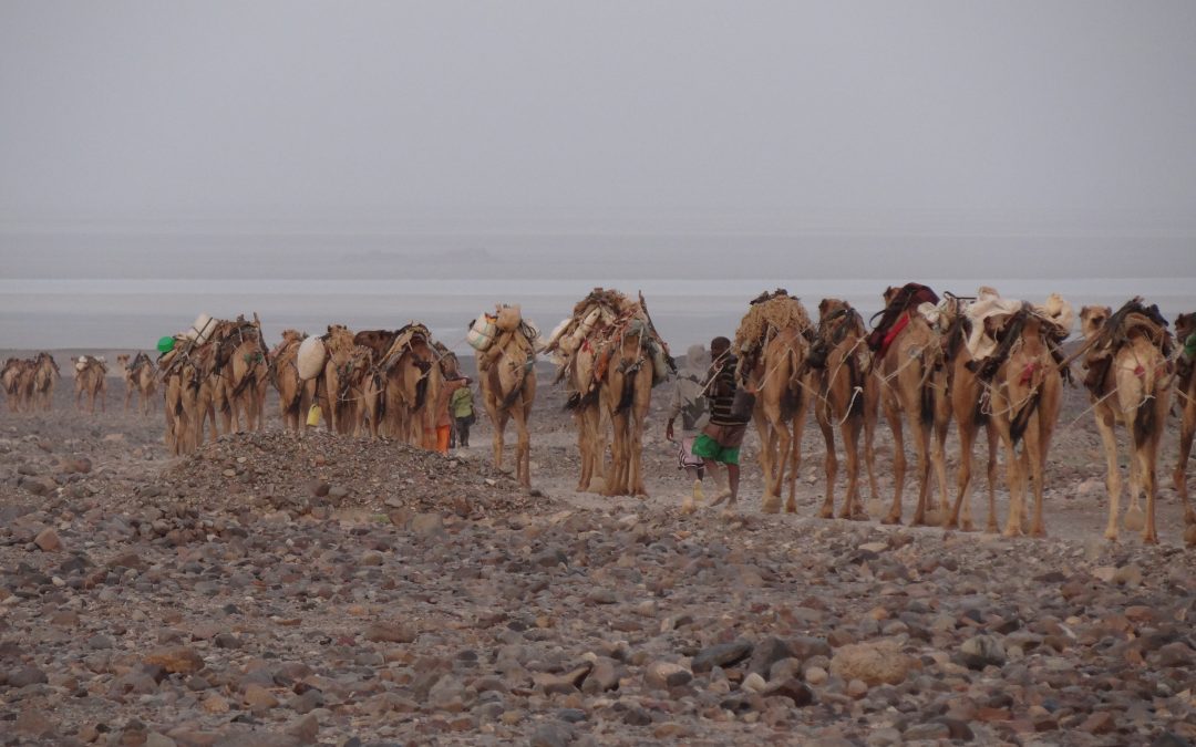 Danakil Depression and Afar people – Harar extension