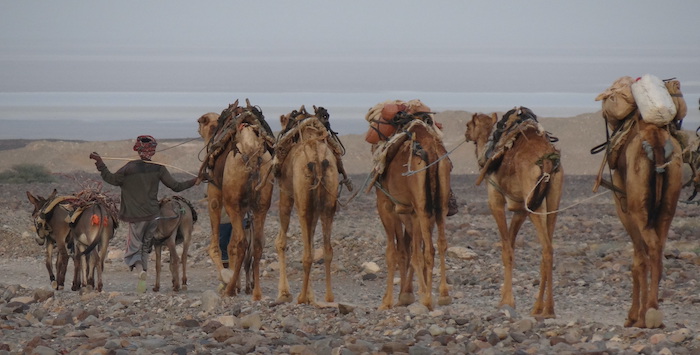 Danakil Depression and Afar people – Harar extension